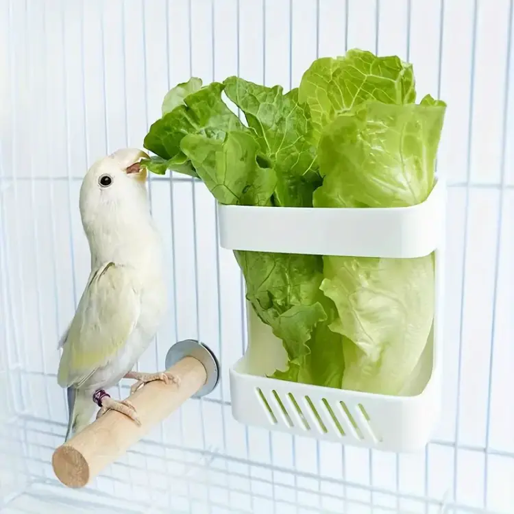 Panier pour fruits et légumes avec fixation à la cage – pour petites et moyennes perroquets, lot de 2 | ParrotPlanet.fr