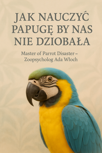 NOWE4.png