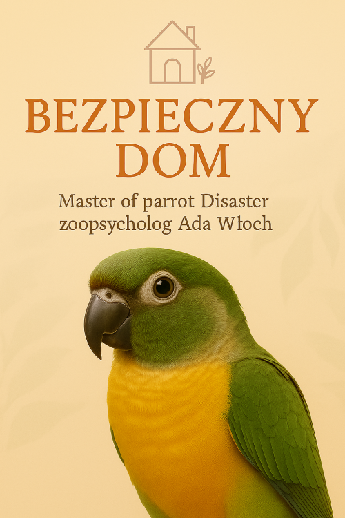 nowe7.png