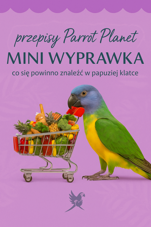 f2429bde-bcee-409e-ab31-8c80b9349025 (1).png