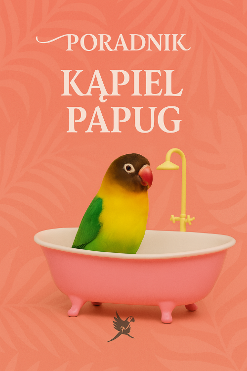 7461f6ba-a27c-422c-b155-ab9c0bfe7a6c.png