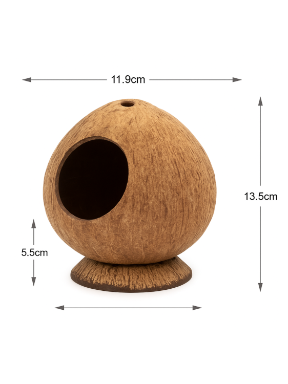 Maison en coco naturelle pour reptiles – cachette et jouet pour terrarium | ParrotPlanet.fr