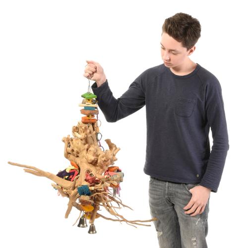 Giant Java Crown – balançoire et aire de jeu moyenne en noix de coco et bois pour perroquets | ParrotPlanet.fr