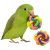 Smocza Piłka – Zestaw 2 szt. kolorowych zabawek dla papug | Parrot Planet