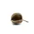 BioGecko Nut – cachette naturelle en coque de noix pour geckos (8–15 cm) | ParrotPlanet.fr