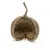 BioGecko Nut – cachette naturelle en coque de noix pour geckos (8–15 cm) | ParrotPlanet.fr