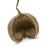 BioGecko Nut – cachette naturelle en coque de noix pour geckos (8–15 cm) | ParrotPlanet.fr