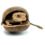 BioGecko Nut – cachette naturelle en coque de noix pour geckos (8–15 cm) | ParrotPlanet.fr