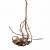 Racine naturelle de vigne – EcoVine Roots – décoration naturelle et support d’escalade pour reptiles, amphibiens et arachnides | ParrotPlanet.fr