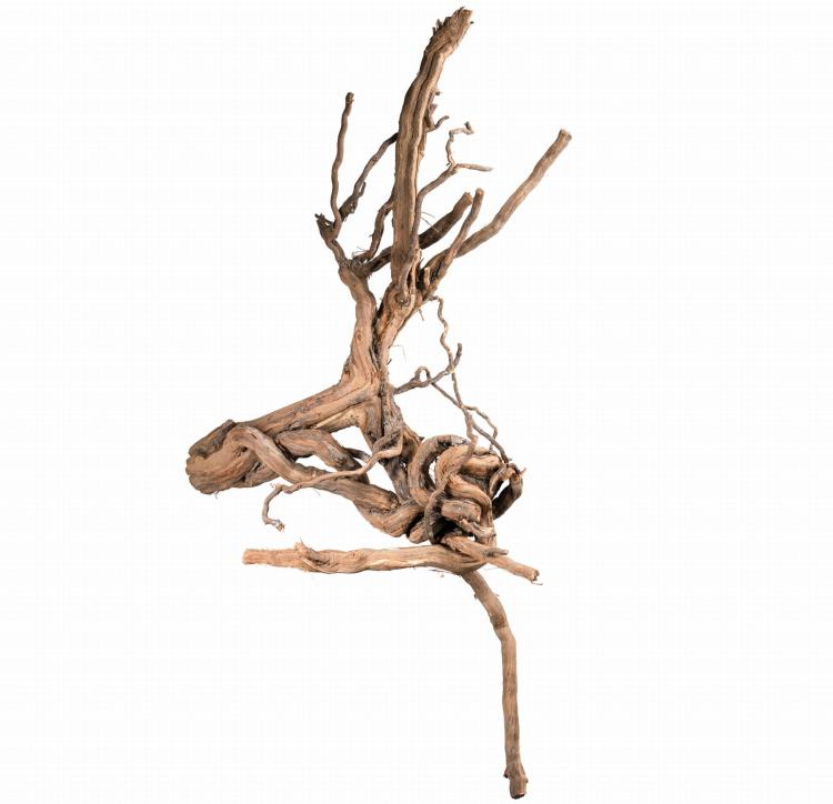 Racine naturelle de vigne – EcoVine Roots – décoration naturelle et support d’escalade pour reptiles, amphibiens et arachnides | ParrotPlanet.fr