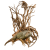 Racine naturelle de vigne – EcoVine Roots – décoration naturelle et support d’escalade pour reptiles, amphibiens et arachnides | ParrotPlanet.fr