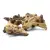 Racine naturelle Mopani – décoration pour terrarium et aquarium | ParrotPlanet.fr
