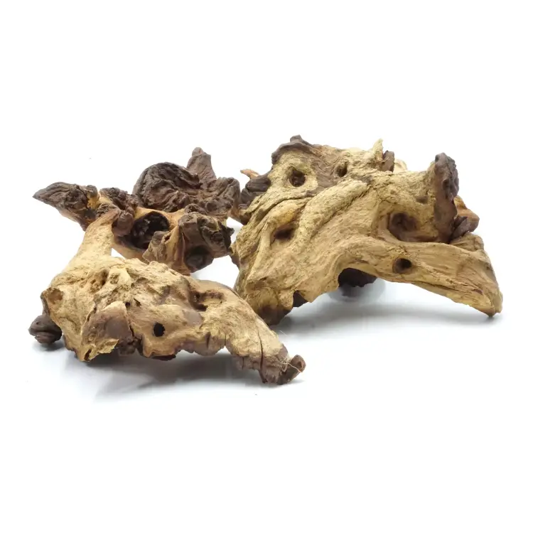 Racine naturelle Mopani – décoration pour terrarium et aquarium | ParrotPlanet.fr