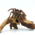 Racine naturelle Mopani – décoration pour terrarium et aquarium | ParrotPlanet.fr