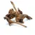 Racine japonaise marécageuse pour terrarium et aquarium (10–20 cm) | ParrotPlanet.fr