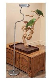 Zoo Med Avian Sun Floor Lamp - regulowana lampa podłogowa od ParrotPlanet.pl