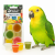 Gelées pour perroquets – assortiment de saveurs, 6 pièces ParrotPlanet.fr