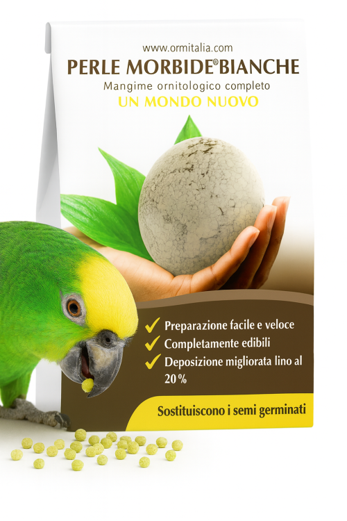 Ornitalia Perle Morbide Bianche/WHITE- Przepyszne  Naturalne Kiełki w kuleczkach dla wszystkich papug 800g od ParrotPlanet.pl
