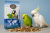 Deli Nature 61 - Lekka Mieszaka dla dużych PaPug 15kg od ParrotPlanet.pl