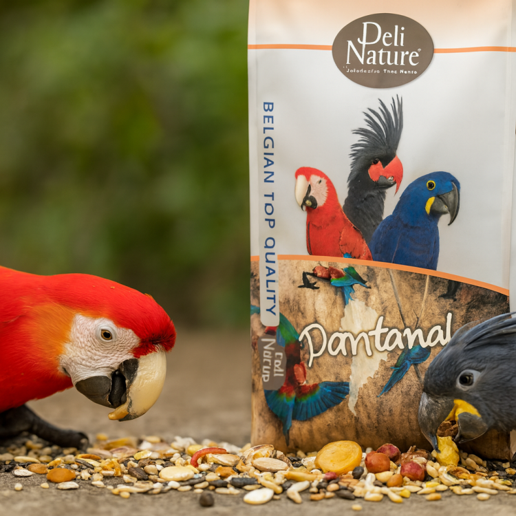 Deli Nature 23 Amazonas Park Pantanal 12,5 kg – mélange premium pour aras et cacatoès noirs ParrotPlanet.fr