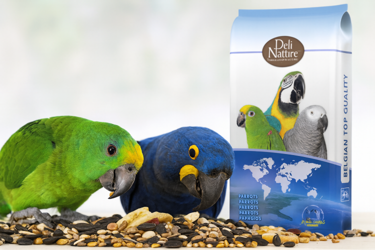 Deli Nature 57 - Mieszanka Excellent 40% słonecznika dla dużych papug 15 kg  od ParrotPlanet.pl