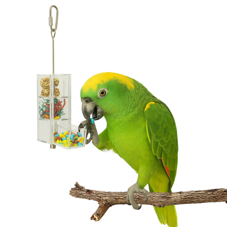 3 Szuflady z jedzeniem zabawka interaktywna dla papug od ParrotPlant.pl