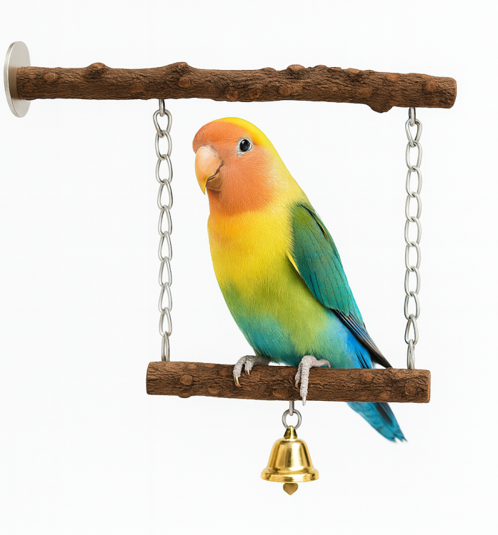 Balancoire Double Joie - swing pour perruches avec grelots de ParrotPlanet.fr