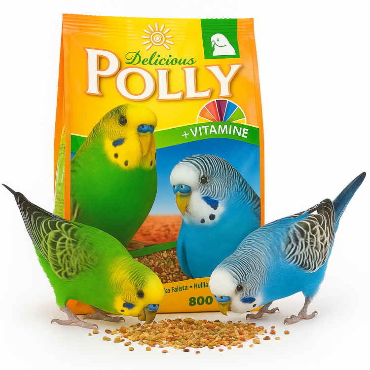Vitakraft Polly Delicious dla Papugi Falistej 800g od ParrotPlanet.pl