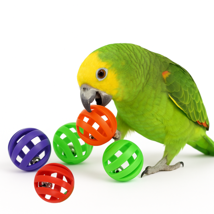 Balles colorées avec grelot pour perruches - jouet interactif 5 pièces de ParrotPlanet.fr