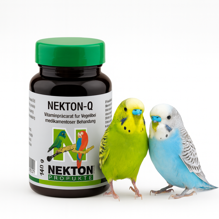 Nekton Q - complément nutritif pour perruches en convalescence 140g de ParrotPlanet.fr