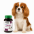 NEKTON Clean Smile | Poudre naturelle pour l'hygiène dentaire des chiens de ParrotPlanet.fr
