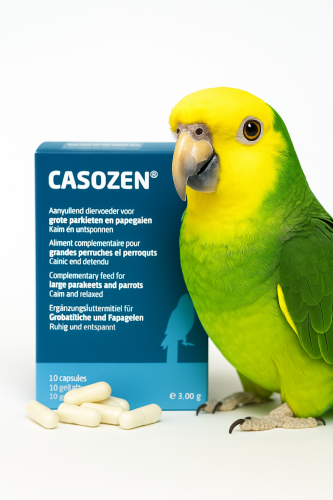 CASOZEN 10 capsules – Préparation naturelle anti-stress et contre le picage des plumes pour perroquets od ParrotPlanet.fr