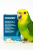 CASOZEN 10 capsules – Préparation naturelle anti-stress et contre le picage des plumes pour perroquets od ParrotPlanet.fr