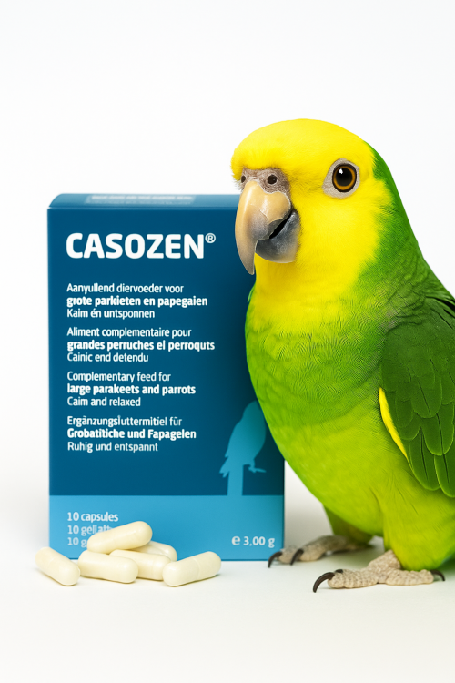 CASOZEN 10 capsules – Préparation naturelle anti-stress et contre le picage des plumes pour perroquets od ParrotPlanet.fr