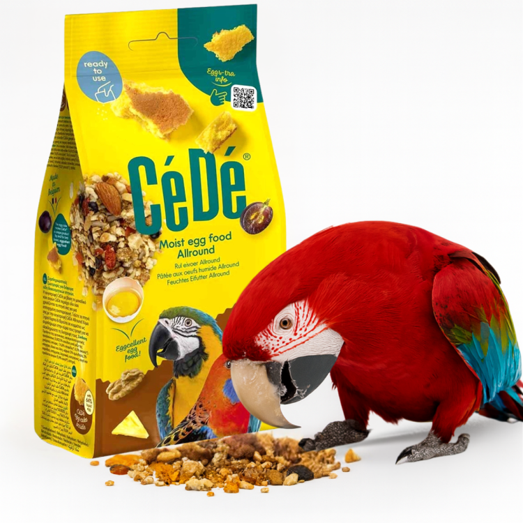CEDE Allround Nuts & Fruit 200 g – Pâtée aux œufs avec noix et fruits pour perroquets et oiseaux exotiques od ParrotPlanet.fr