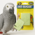 Zoo Med | Vegetable Formula Bird Banquet | bloc minéral au calcium à base de légumes pour perroquets | 142 g de ParrotPlanet.fr