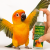 Feather Shine Rainforest Mist – spray régénérant pour les plumes et le bain des perroquets à l’eucalyptus, 240 ml  de ParrotPlanet.fr