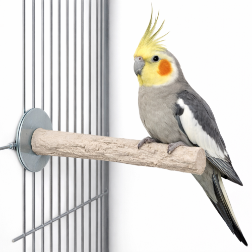 Back Zoo Nature Super Stone Perch 18 cm Ø25 mm – perchoir minéral pour cage de perroquets de taille moyenne pour l’usure des griffes et du bec de ParrotPlanet.fr