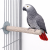Back Zoo Nature Super Stone Perch 28 cm Ø40 mm – perchoir minéral pour cage de perroquets moyens et grands pour l’usure des griffes et du bec  de Parrotplanet.fr
