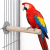 Back Zoo Nature Super Stone Perch 35 cm Ø55 mm – mineralna żerdź do klatki dla dużych papug do ścierania pazurków i dzioba od ParrotPlanet.pl