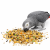 Witte Molen Country Parrots 2 kg de ParrotPlanet.fr