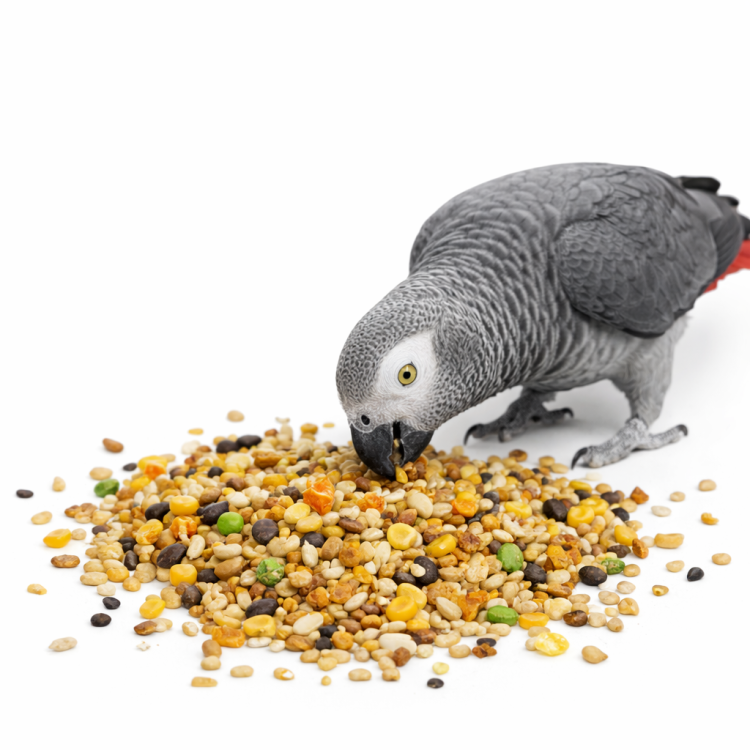 Witte Molen Country Parrots 2 kg de ParrotPlanet.fr