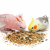 Witte Molen Country 2,5 kg – mieszanka ziaren dla dużych papug i kakadu (Large Parakeet & Cockatoo od ParrotPlanet.pl