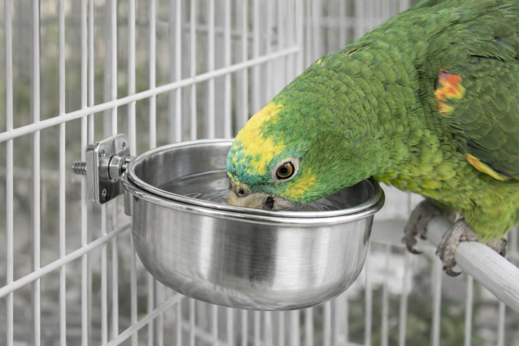 DUVO+ gamelle à visser pour cage d’oiseaux 9,5 cm 330 ml de ParrotPlanet.fr