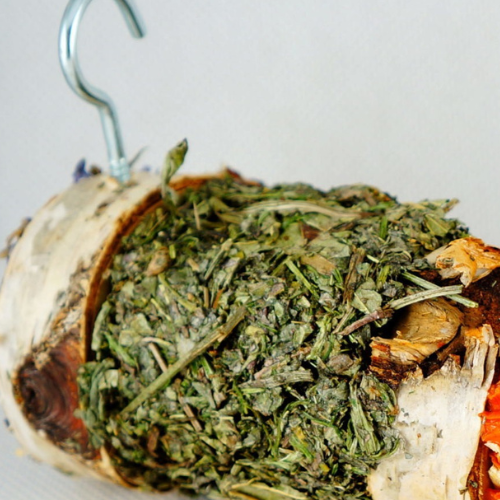 Brochette Herbes et Légumes – pour rongeurs de ParrotPlanet.fr