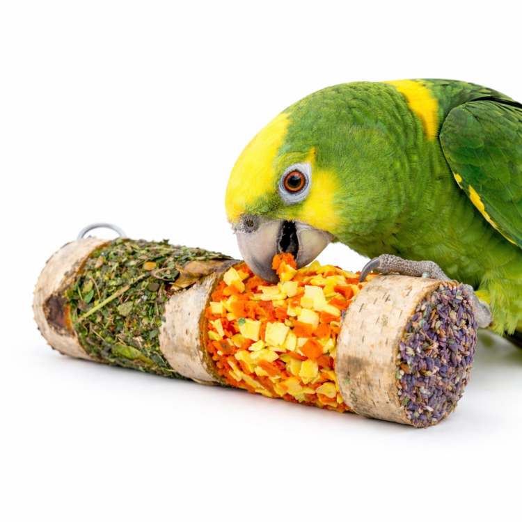 Ziołowo-warzywny szaszłyk - dla wszystkich papug od ParrotPlanet.pl