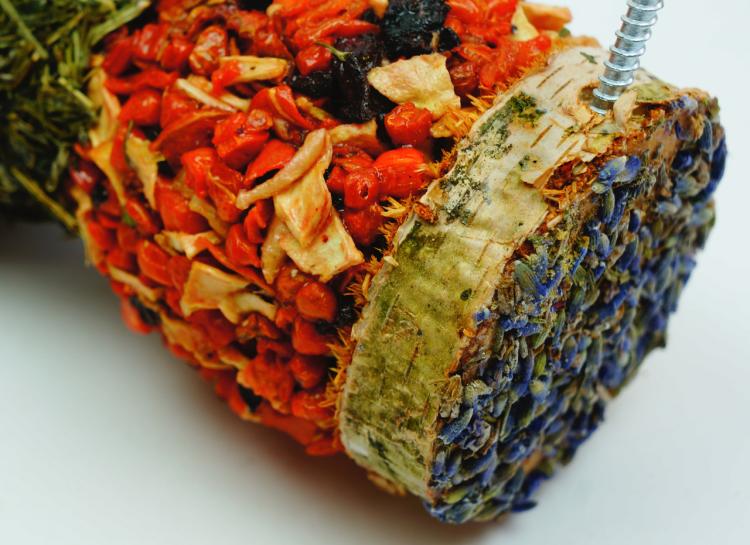Sablier aux Légumes avec Mélange de Céréales – pour rongeurs de ParrotPlanet.fr