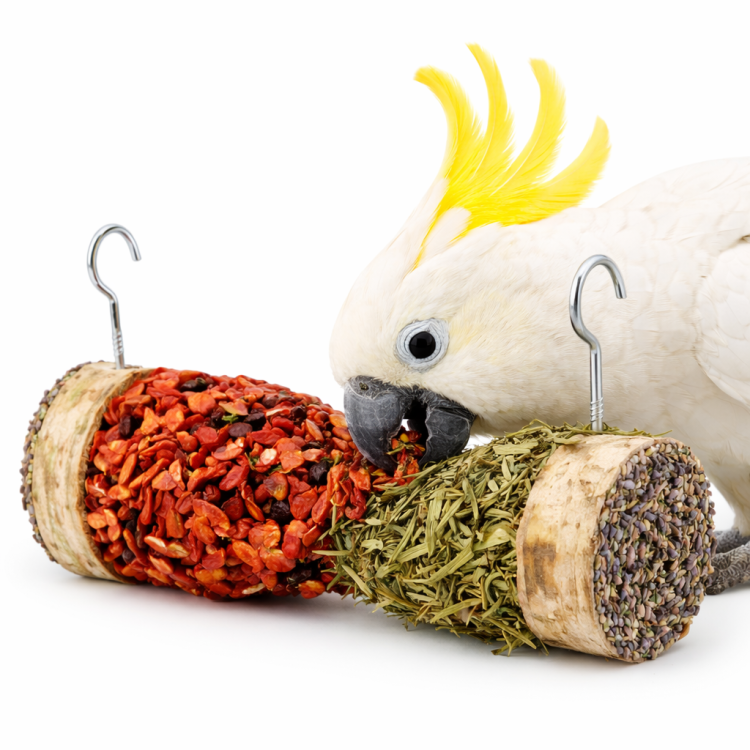 Ziołowo- Warzywna klepsydra z mieszanką zbóż dla wszystkich papug od ParrotPlanet.pl