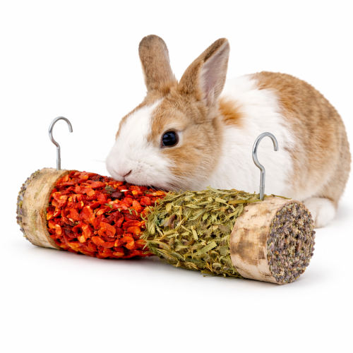 Sablier aux Légumes avec Mélange de Céréales – pour rongeurs de ParrotPlanet.fr