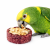 Tunnellets Gourmands à la Betterave et à la Pomme – friandise irrésistible pour tous les perroquets de ParrotPlanet.fr